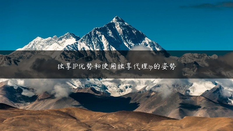 独享IP优势和使用独享代理ip的姿势 (https://www.jjyimin.com/) 代理IP 第1张