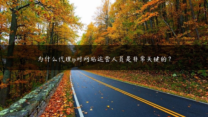为什么代理ip对网站运营人员是非常关键的？ (https://www.jjyimin.com/) 代理IP 第1张