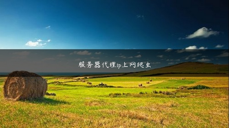 服务器代理ip上网爬虫 (https://www.jjyimin.com/) 代理IP 第1张