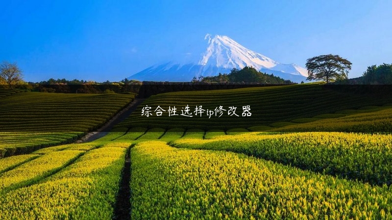 综合性选择ip修改器 (https://www.jjyimin.com/) 代理IP 第1张