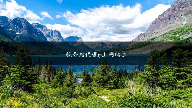 服务器代理ip上网爬虫 (https://www.jjyimin.com/) 代理IP 第1张