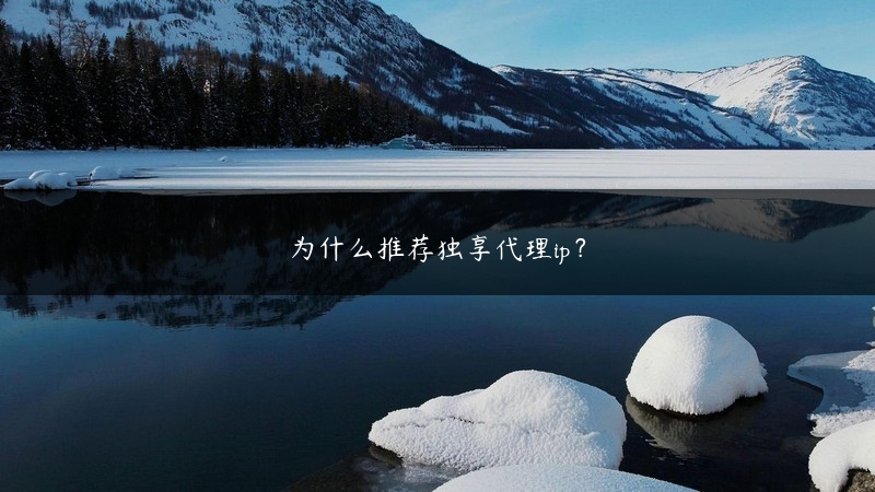 为什么推荐独享代理ip？ (https://www.jjyimin.com/) 代理IP 第1张