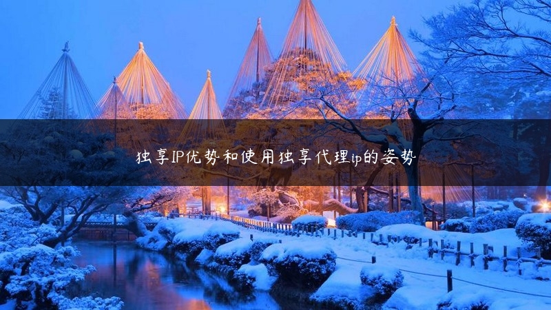 独享IP优势和使用独享代理ip的姿势 (https://www.jjyimin.com/) 代理IP 第1张