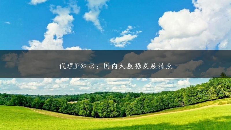 代理IP知识：国内大数据发展特点 (https://www.jjyimin.com/) 代理IP 第1张