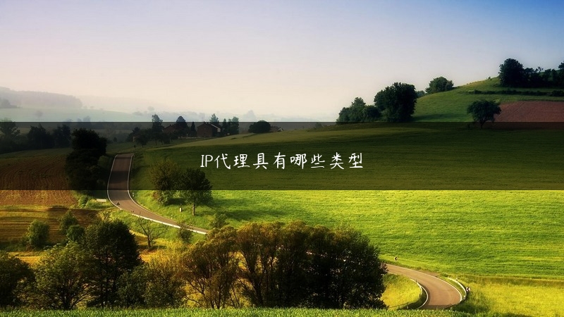 IP代理具有哪些类型 (https://www.jjyimin.com/) 代理IP 第1张
