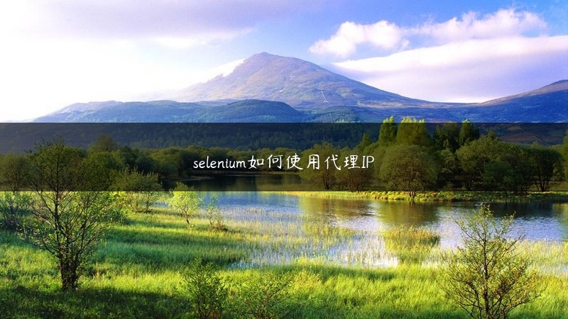 selenium如何使用代理IP (https://www.jjyimin.com/) 代理IP 第1张