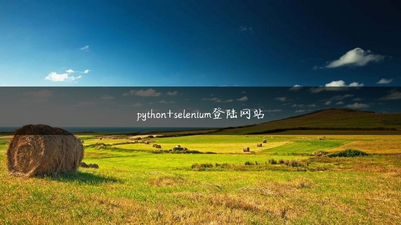 python+selenium登陆网站