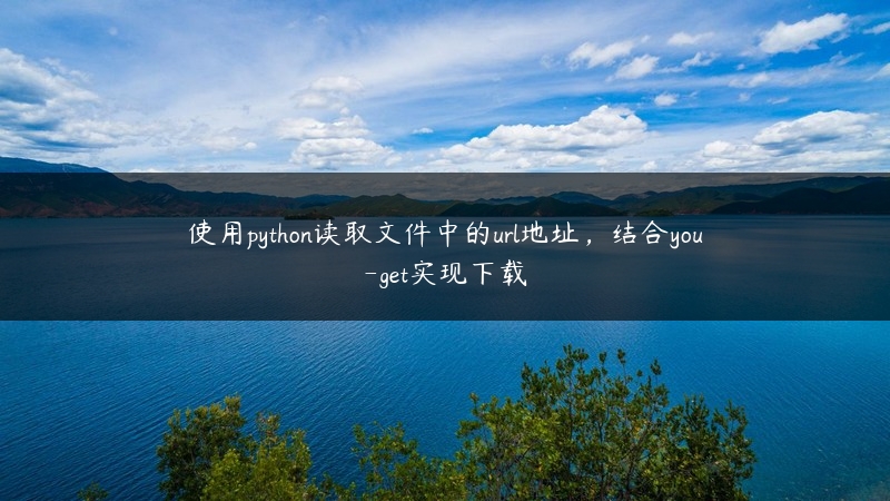 使用python读取文件中的url地址，结合you-get实现下载