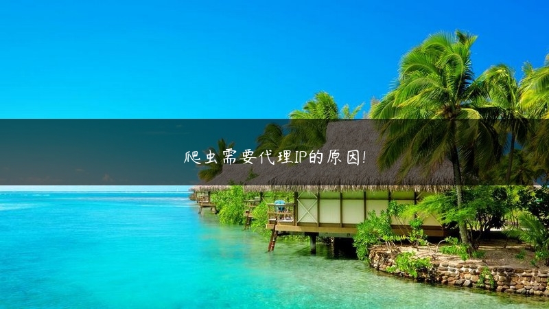 爬虫需要代理IP的原因! (https://www.jjyimin.com/) 代理IP 第1张
