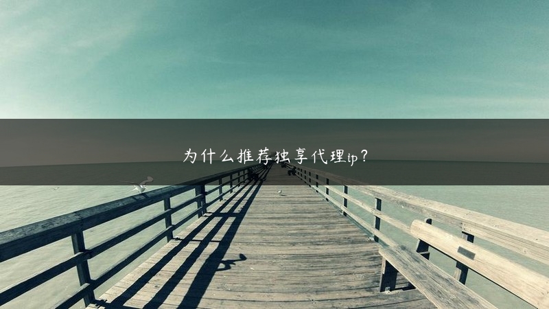 为什么推荐独享代理ip？ (https://www.jjyimin.com/) 代理IP 第1张