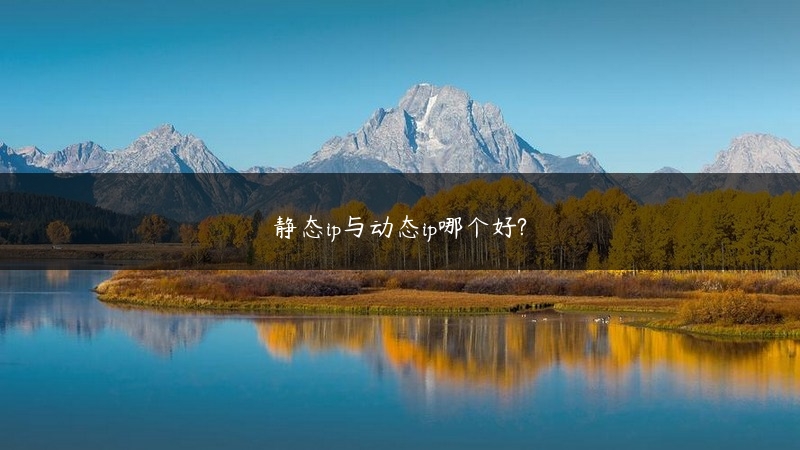 静态ip与动态ip哪个好? (https://www.jjyimin.com/) 代理IP 第1张