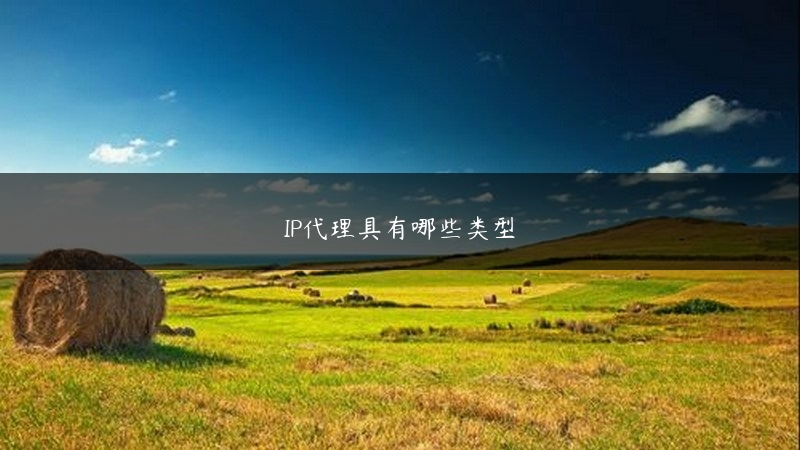 IP代理具有哪些类型 (https://www.jjyimin.com/) 代理IP 第1张
