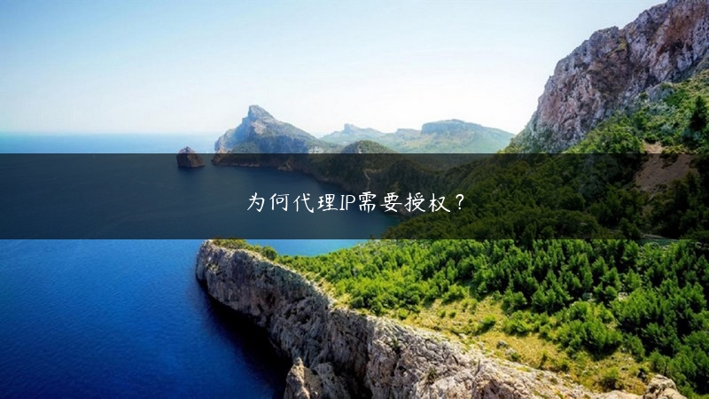 为何代理IP需要授权？ (https://www.jjyimin.com/) 代理IP 第1张