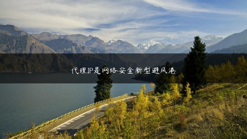 代理IP是网络安全新型避风港 (https://www.jjyimin.com/) 代理IP 第1张