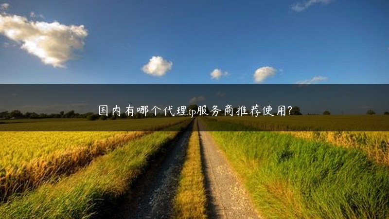 国内有哪个代理ip服务商推荐使用? (https://www.jjyimin.com/) 代理IP 第1张