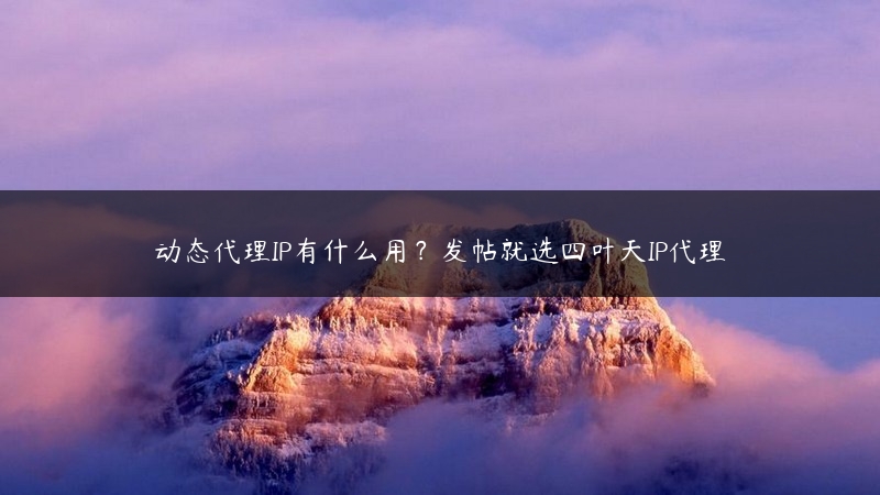 动态代理IP有什么用？发帖就选四叶天IP代理 (https://www.jjyimin.com/) 代理IP 第1张