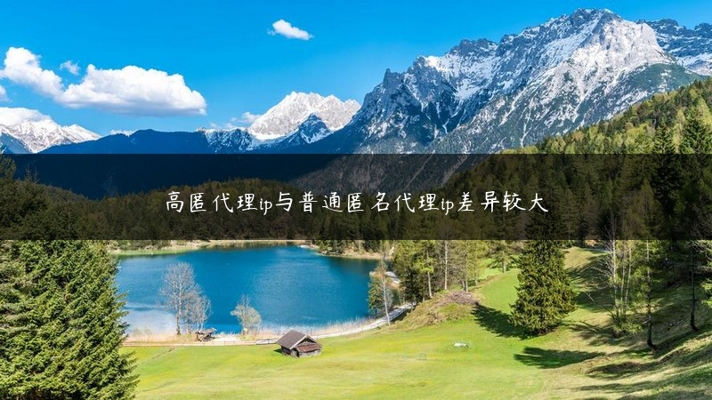 高匿代理ip与普通匿名代理ip差异较大 (https://www.jjyimin.com/) 代理IP 第1张