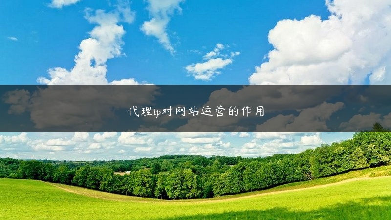代理ip对网站运营的作用 (https://www.jjyimin.com/) 代理IP 第1张