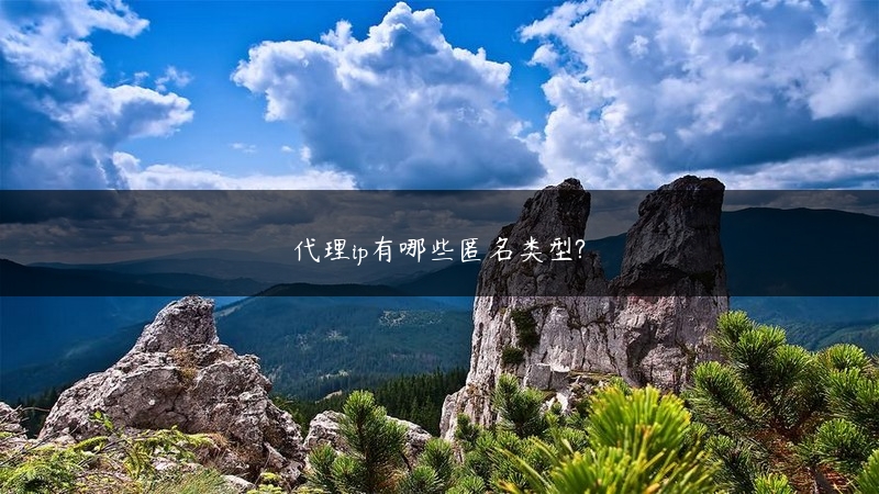代理ip有哪些匿名类型? (https://www.jjyimin.com/) 代理IP 第1张