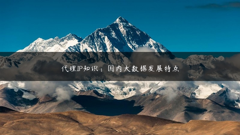 代理IP知识：国内大数据发展特点 (https://www.jjyimin.com/) 代理IP 第1张
