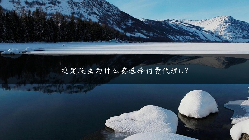 稳定爬虫为什么要选择付费代理ip？ (https://www.jjyimin.com/) 代理IP 第1张
