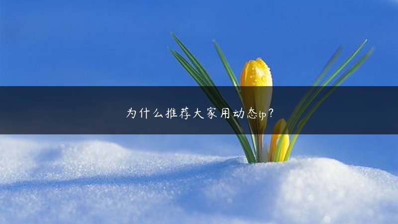 为什么推荐大家用动态ip？ (https://www.jjyimin.com/) 代理IP 第1张