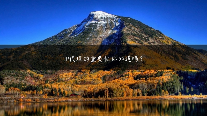 IP代理的重要性你知道吗？ (https://www.jjyimin.com/) 代理IP 第1张
