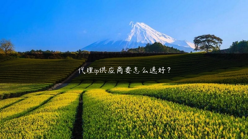 代理ip供应商要怎么选好？ (https://www.jjyimin.com/) 代理IP 第1张