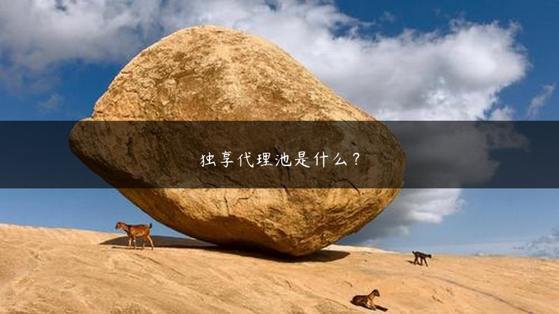 独享代理池是什么？ (https://www.jjyimin.com/) 代理IP 第1张