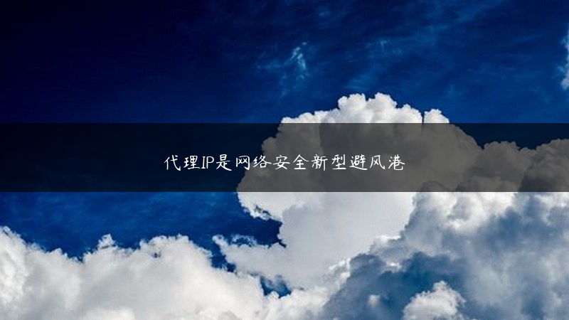 代理IP是网络安全新型避风港 (https://www.jjyimin.com/) 代理IP 第1张